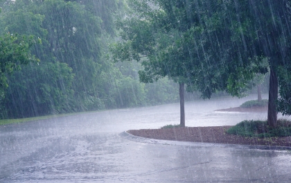 雨が降っている様子